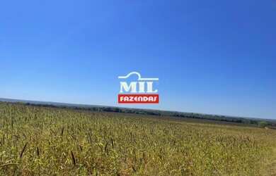 Imagem 4: Fazenda 115 Alq 566 HÁ formoso do Araguaia-TO