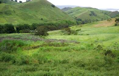 Imagem 13: Fazenda 540 ha, Rio Preto/MG, centenária, 65km de Juiz Fora