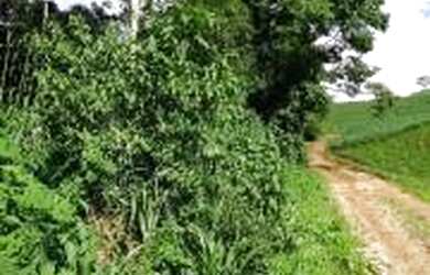 Imagem: A fazenda possui 10.846m² de Área e está localizado em Jardim