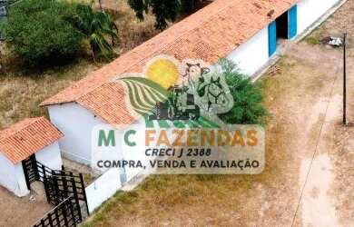 Imagem 2: Fazenda à Venda em Cicero Dantas - BA