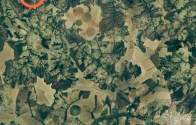 Imagem 11: Vendo Fazenda na região das Taipas. Município de Luziânia/GO