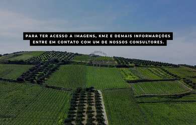 Imagem: A fazenda possui 2.350m² de Área e está localizado em Centro