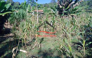 Imagem: A fazenda possui 15m² de Área e está localizado em Diamantina