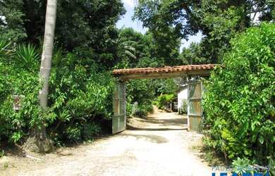 Imagem 7: AREA - LARANJA AZEDA - SP