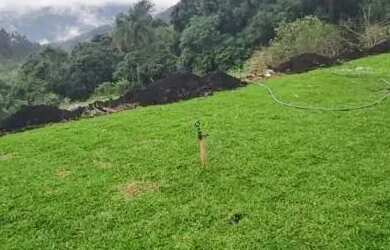 Imagem 3: Sitio - Bairro Pinhal Alto