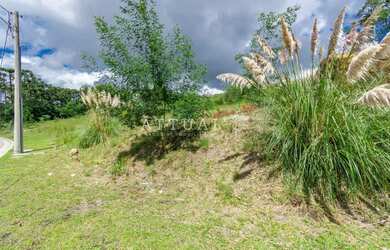 Imagem 3: TERRENO EM CONDOMÍNIO EXCLUSIVO DE GRAMADO
