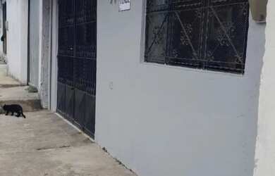 Imagem: A casa possui 2 Dormitórios, 1 Banheiro, 1 Vaga na garagem