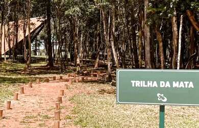 Imagem 8: Lote plano no Jardins França