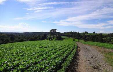 Imagem: O terreno e está localizado em Itacaranha, Salvador à venda