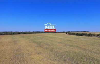 Imagem 12: Fazenda 115 Alq 566 HÁ formoso do Araguaia-TO