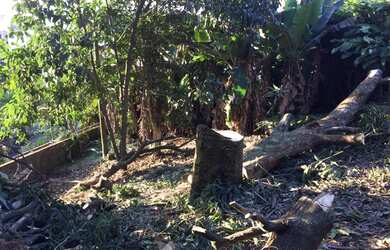 Imagem 14: Terreno no bairro Velha. 