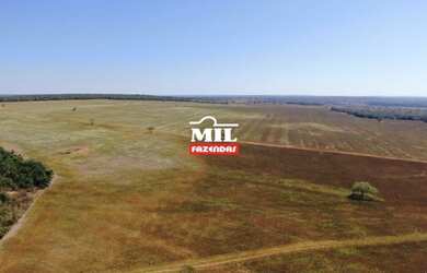 Imagem 8: Fazenda 115 Alq 566 HÁ formoso do Araguaia-TO