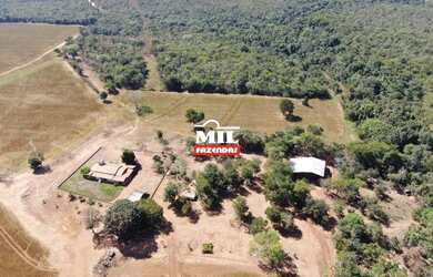 Imagem 15: Fazenda 115 Alq 566 HÁ formoso do Araguaia-TO