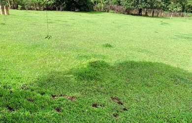 Imagem: O terreno possui 600m² de Área e Imóvel novo e está localizado