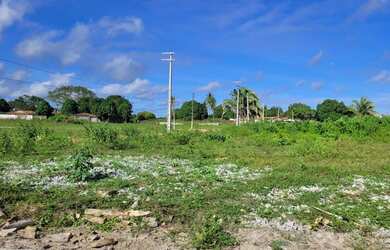 Imagem 12: Loteamento Vivencie Camara Perto Do Restaurante Benjamim Pronto Para Construir...
