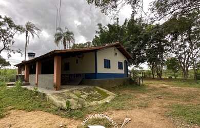 Imagem 5: Vendo Fazenda na região das Taipas. Município de Luziânia/GO