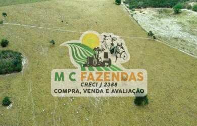 Imagem 15: Fazenda à Venda em Cicero Dantas - BA