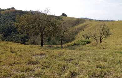 Imagem 9: Lote/Terreno para venda tem 1000 metros quadrados em Ouro Fino - Santa Isabel - SP