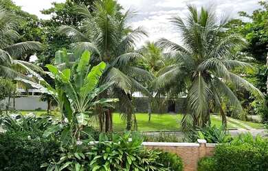 Imagem 12: Casa de Alto Padrão no Condomínio Santa Helena, Barra da Tijuca para...