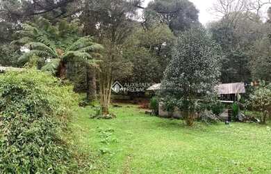 Imagem 7: Casa 2 dormitórios terreno de 3.695,68 m²