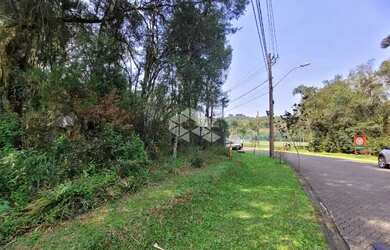 Imagem 4: Pinheiro Grosso. 734m² de Área