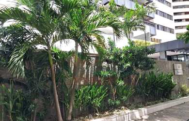 Imagem 3: Edf Dona Cecy - Apartamento de luxo à venda em Recife-PE, Boa Viagem...