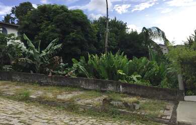 Imagem 2: Terreno no bairro Velha. 