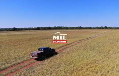 Imagem 16: Fazenda 115 Alq 566 HÁ formoso do Araguaia-TO