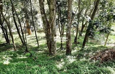 Imagem 2: Oportunidade Única - Terreno à venda, 395 m² por R$ 200.000 - Vargem...