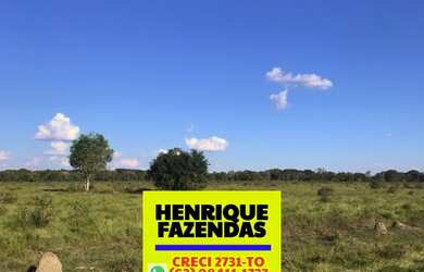 Imagem 10: Fazenda em Formoso do Araguaia