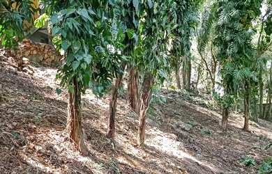 Imagem 2: Oportunidade Terreno em Atibaia,SP / 247,71m² / $ 95.000,00