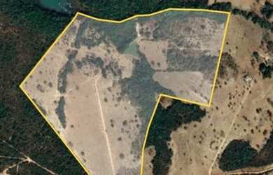 Imagem 10: Vendo Fazenda na região das Taipas. Município de Luziânia/GO