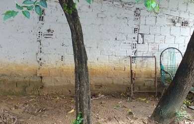 Imagem 6: Imóveis. 1 Banheiroe1 Dormitório