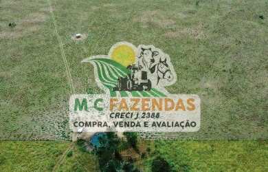 Imagem 10: Fazenda à Venda em Cicero Dantas - BA