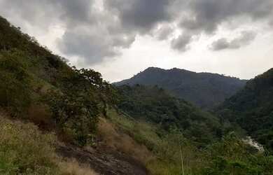 Imagem 5: Terreno 4mil m² à 3km de asfalto do centro de Marechal Floriano
