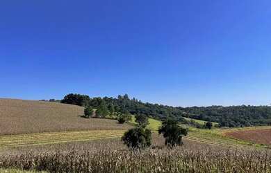 Imagem 3: Lote/Terreno para venda possui 500 metros quadrados em Jardim Brasil -...