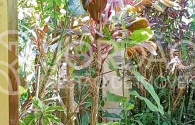 Imagem 2: KITNET, 1 DORMITÓRIO. Piscina, Varanda, 20m² de Áreae1 Banheiro