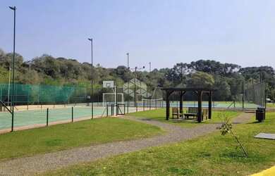 Imagem 7: Pinheiro Grosso. 734m² de Área