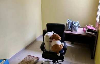 Imagem 10: ALUGO / CASA NA PRAÇA 14 / 3 MIL E CAUÇÃO DE 3500 . BEM LOCALIZADA