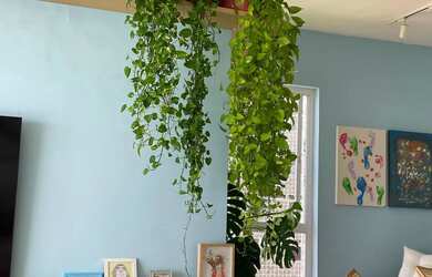 Imagem: O apartamento possui 3 Dormitórios, 2 Banheiros, 180m² de