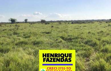 Imagem: A fazenda possui 1.299.750m² de Área e está localizado em