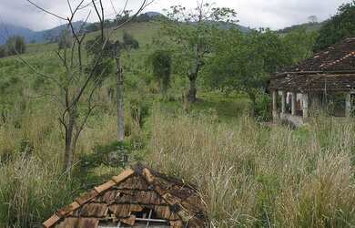 Imagem 5: FAZENDOLA - AREA 72.600M2 - FRENTE RJ-124 VIALAGOS-ARARUAMA - RJ