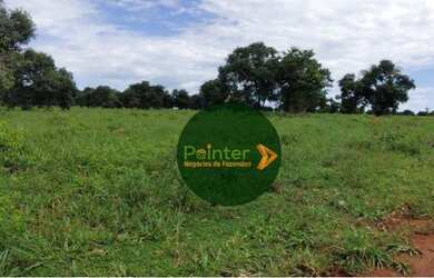 Imagem: A fazenda possui 5856400m² de Área e está localizado em Montes