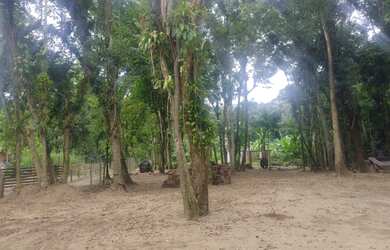 Imagem 9: Terreno no Quiriri, 290.000