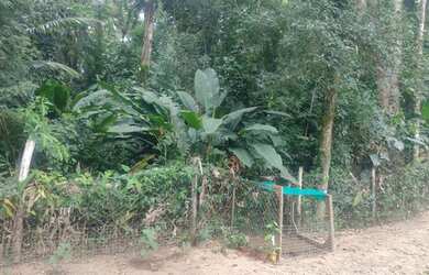 Imagem 10: Terreno no Quiriri, 290.000