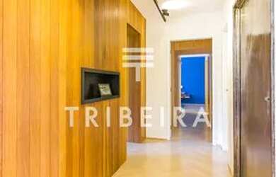 Imagem 16: Imóvel de 240m², com 4 dormitórios sendo 2 suítes