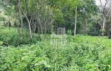 Imagem 15: Terreno à venda, 2026,66 m² por R$ 240.000 - Muriqui - Niterói/RJ