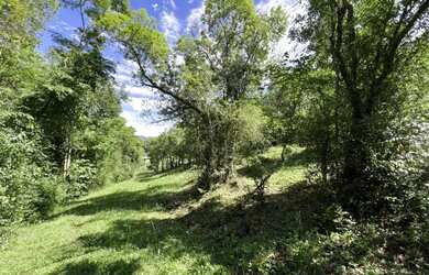 Imagem 14: Sítio - Bairro Linha Nova