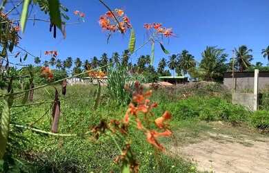 Imagem: O terreno possui 405m² de Área e está localizado em Porto