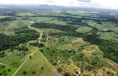 Imagem 7: Fazenda à Venda - 294 Alqueires Tocantins, na divisa com Goiás